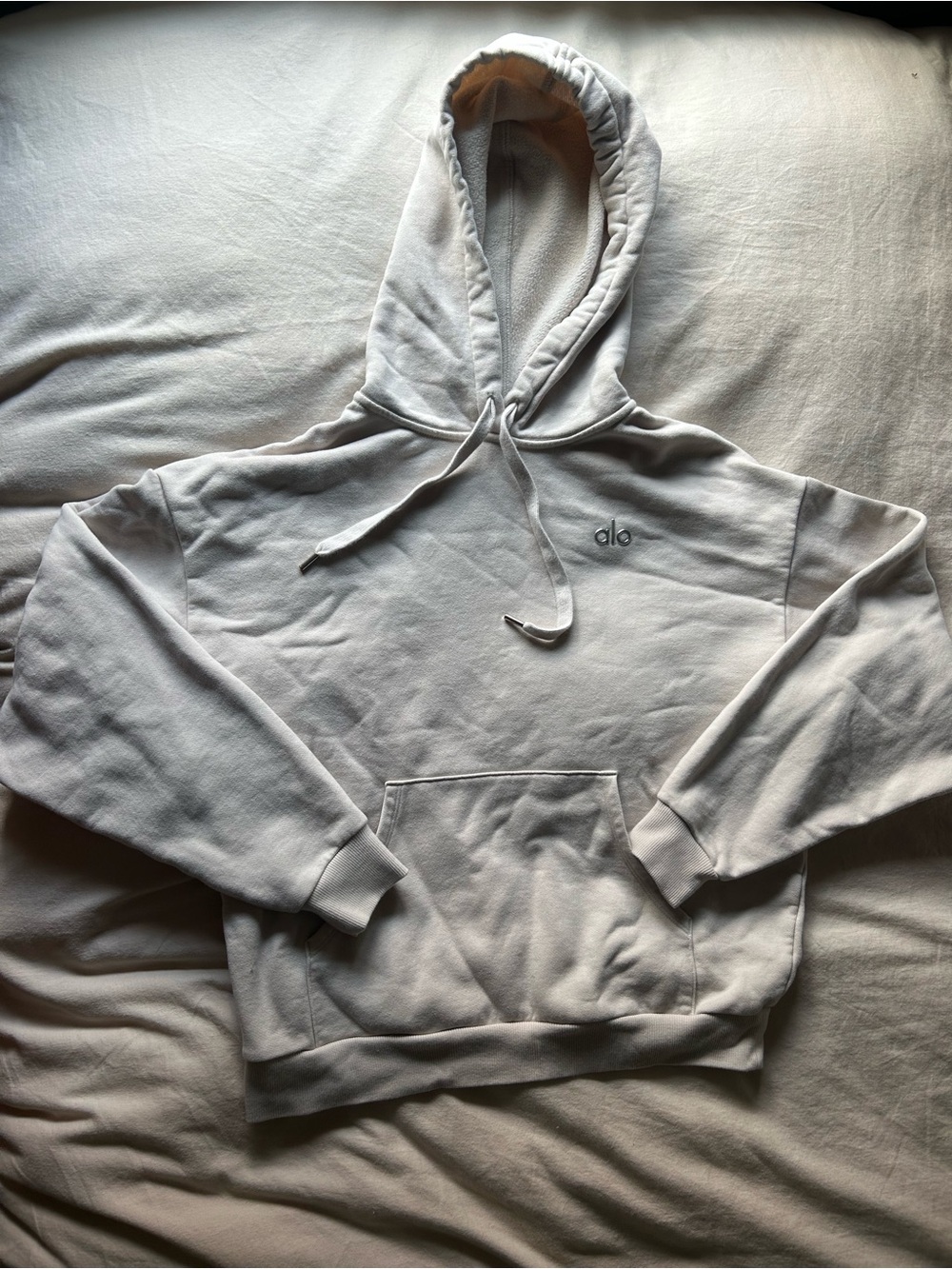 ALO Accolade Hoodie size small